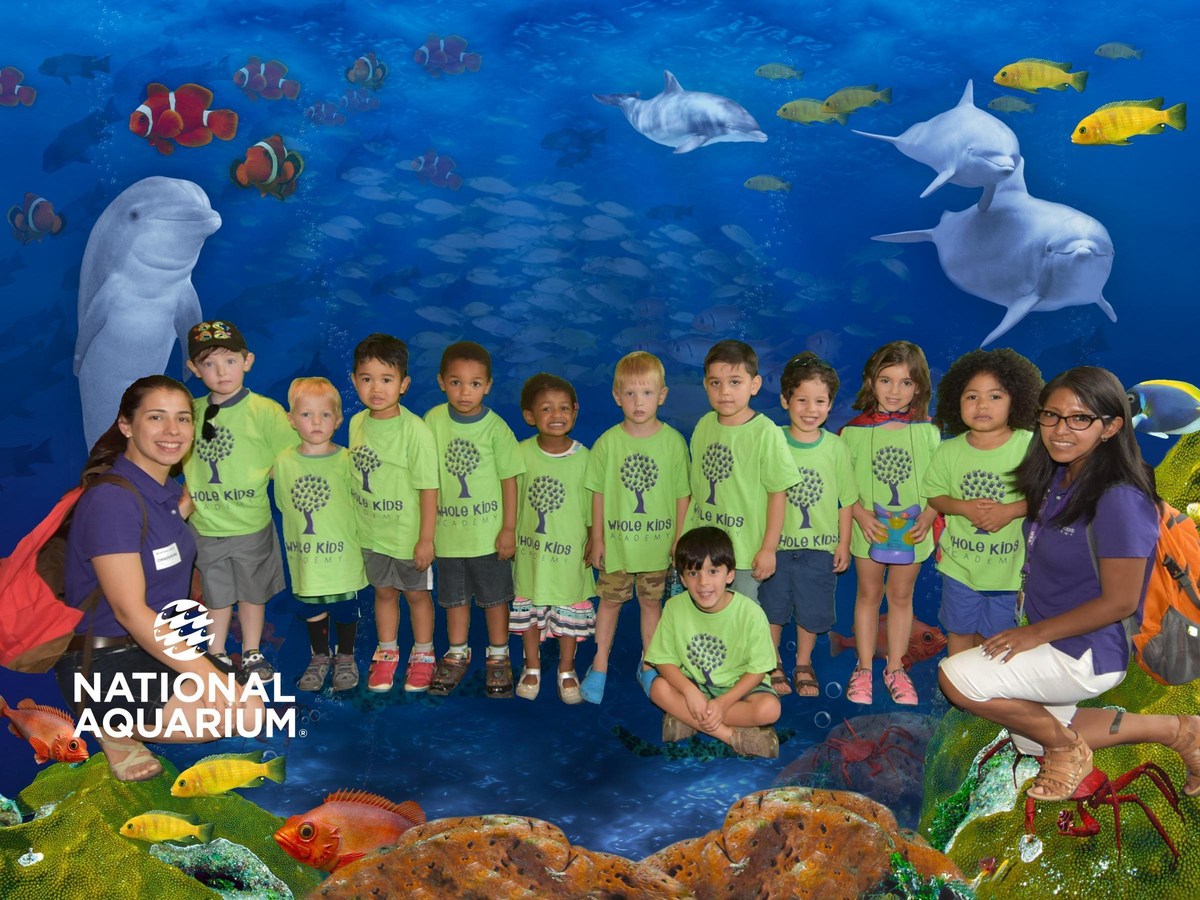 field trip to baltimore aquarium